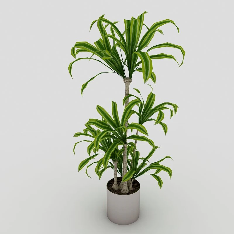 interior plant 3D Model .c4d .max .obj .3ds .fbx .stl .blend 