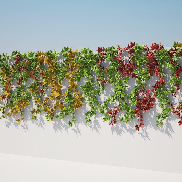ivy colors on wall Modelo 3D .c4d .max .obj .3ds .fbx .stl .blend 