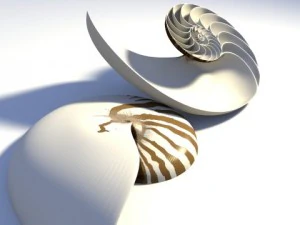 Наутилус 3D Модель