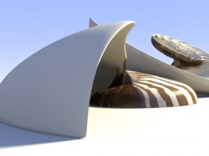 nautilus seashell 3Dモデル