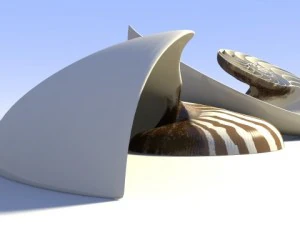 オウム貝の貝殻 3Dモデル