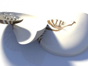 オウム貝の貝殻 3Dモデル