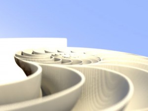 nautilus seashell 3Dモデル