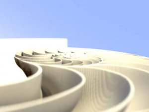 オウム貝の貝殻 3Dモデル