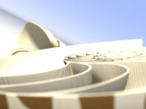 オウム貝の貝殻 3Dモデル