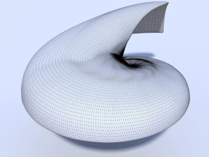 オウム貝の貝殻 3Dモデル