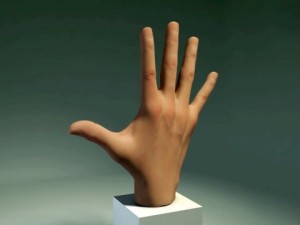 hand 3D Model