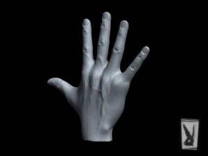 hand 3D Model