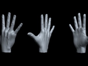 hand Modelo 3D