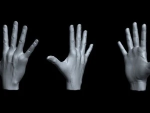 hand 3D Model
