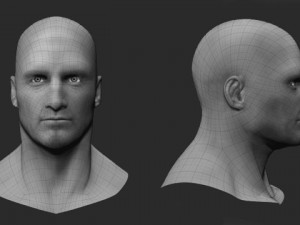 generic male face 3D Model