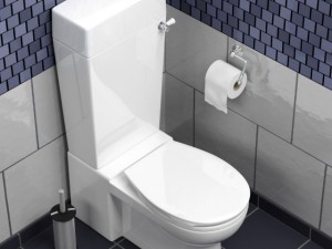 toilet Model 3D