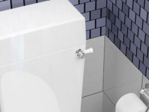toilet Model 3D