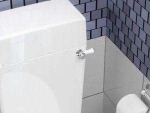 toilet 3D Model