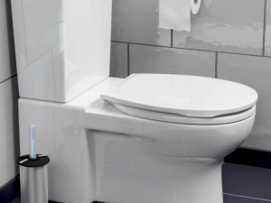 toilet Model 3D