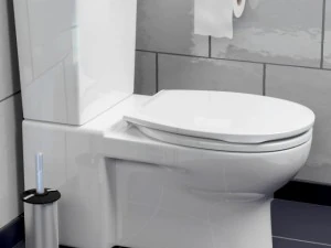 toilet 3D Model