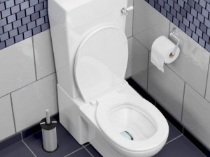 toilet Model 3D