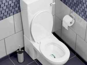 toilet 3D Model