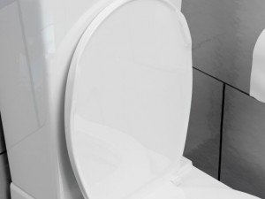 toilet Model 3D