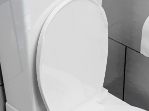 toilet 3D Model