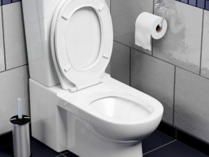toilet Model 3D