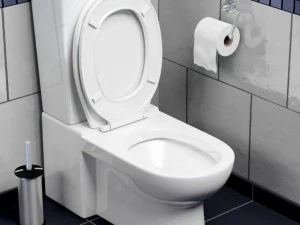 toilet 3D Model