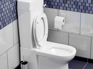 toilet Model 3D