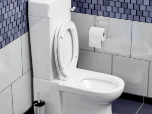 toilet 3D Model