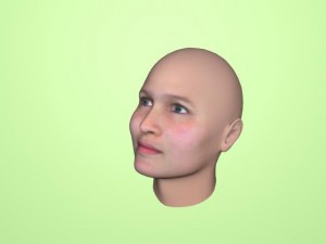 woman face 3D Model