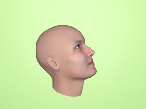 woman face 3D Model