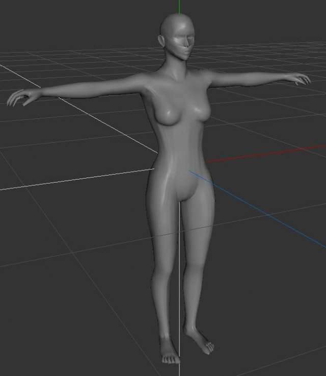 human female base model 3D Model .c4d .max .obj .3ds .fbx .stl .blend 