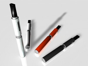 egow 3D Model