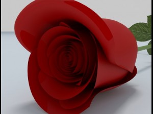 rose Model 3D