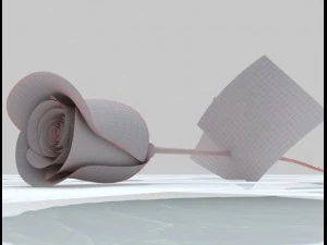 rose 3D Model