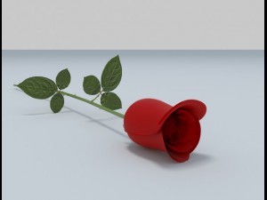 rose 3D Model