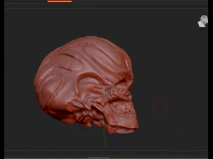 alien skull 3D Model