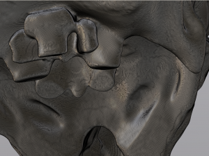 alien skull 3D 模型