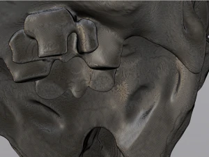 alien skull 3D Model