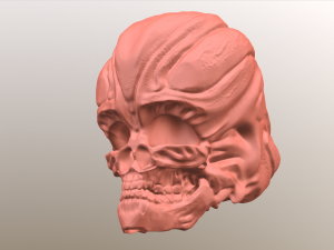 alien skull 3D 模型