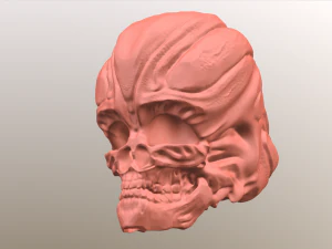alien skull 3D Model
