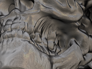 alien skull 3D 模型