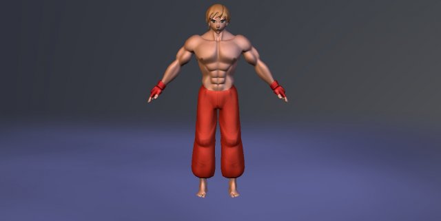fighter 3D Model .c4d .max .obj .3ds .fbx .stl .blend 