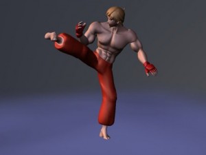 fighter 3D Model