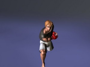 fighter 3D Model