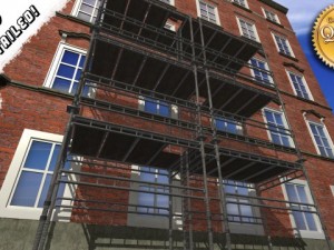 scaffold 3D Model
