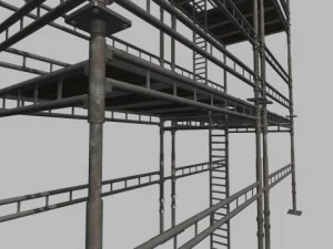 scaffold 3D Model