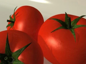 tomato and tomatos in glass bowl 3D Model