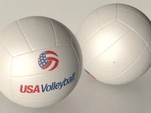 volley ball 01 3D Model