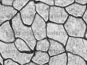 rock path 01 toon tileable texture CG テクスチャ