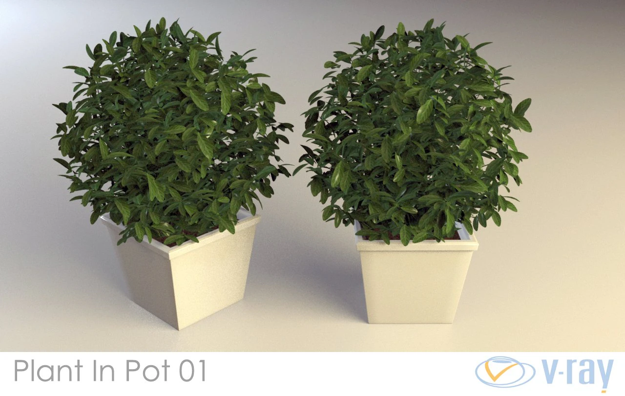 plant in pot 01 vray 3D Model .c4d .max .obj .3ds .fbx .stl .blend